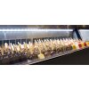 KBS Speiseeis-Verkaufsvitrine Mirabello 9